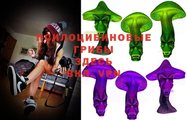 PSILOCYBIN Абинск
