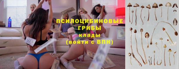марихуана Абаза