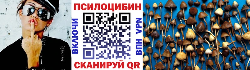 купить закладку  ОМГ ОМГ как войти  Псилоцибиновые грибы мицелий  Орёл 